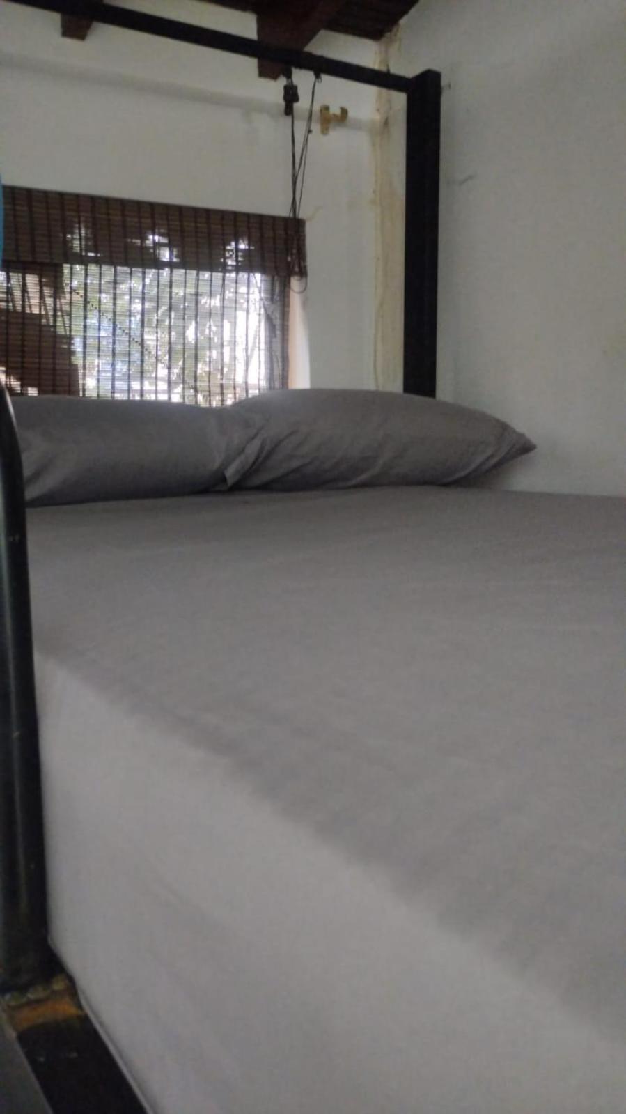 Area 51 Hostel Medellin Ngoại thất bức ảnh